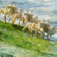 Enciclopedia de la biodiversidad ibérica