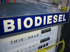 biodiesel